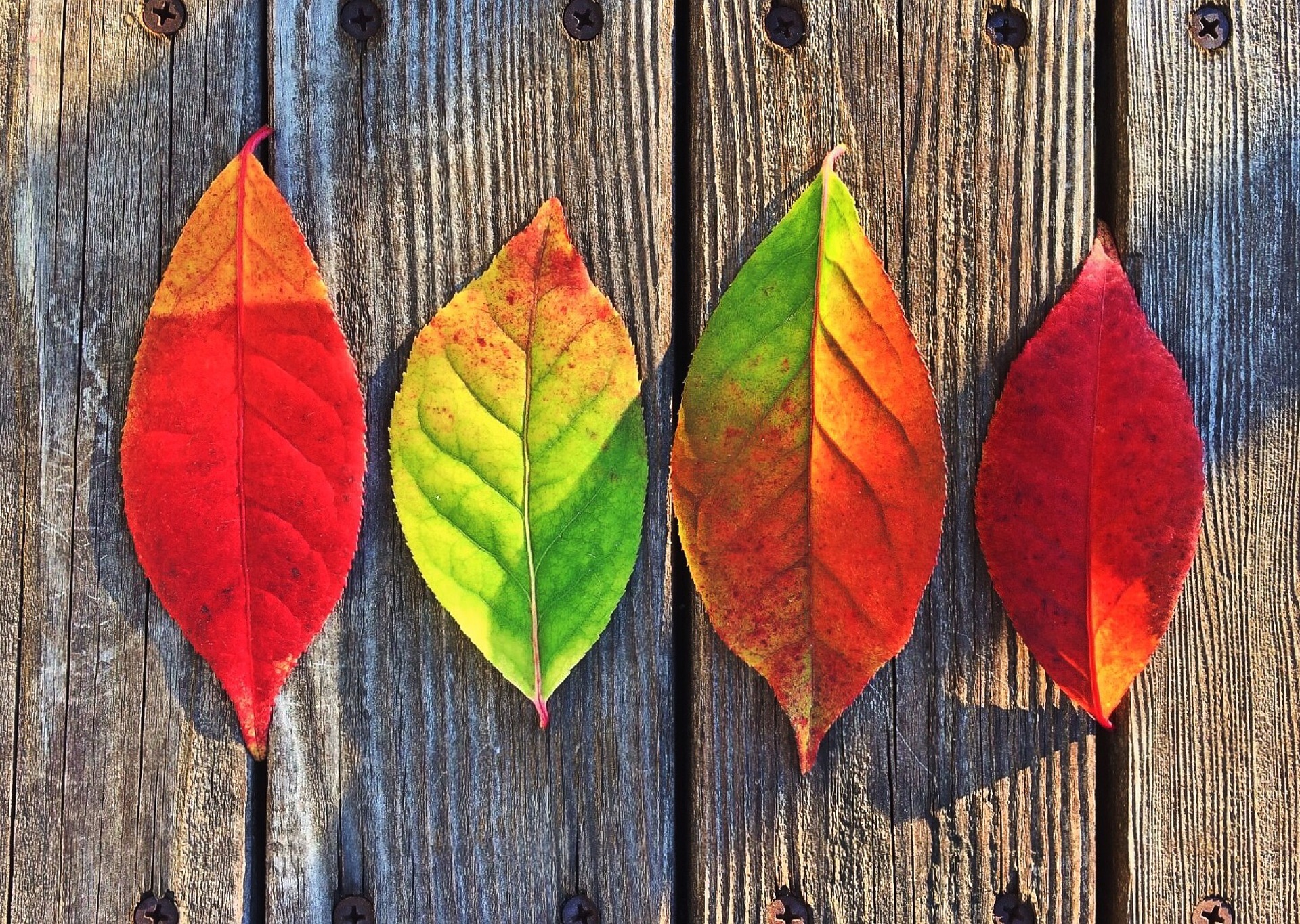 Use This Fall HVAC Maintenance Checklist for Your Home