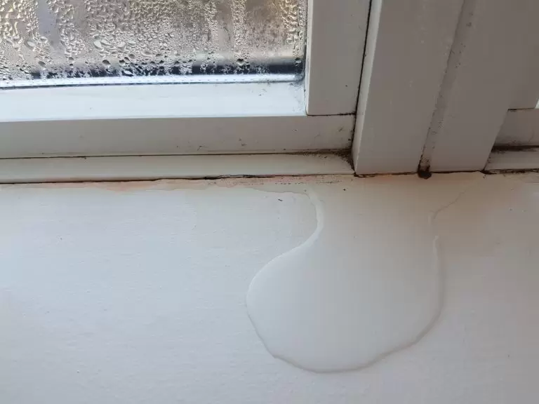 Condensation and mold on the window