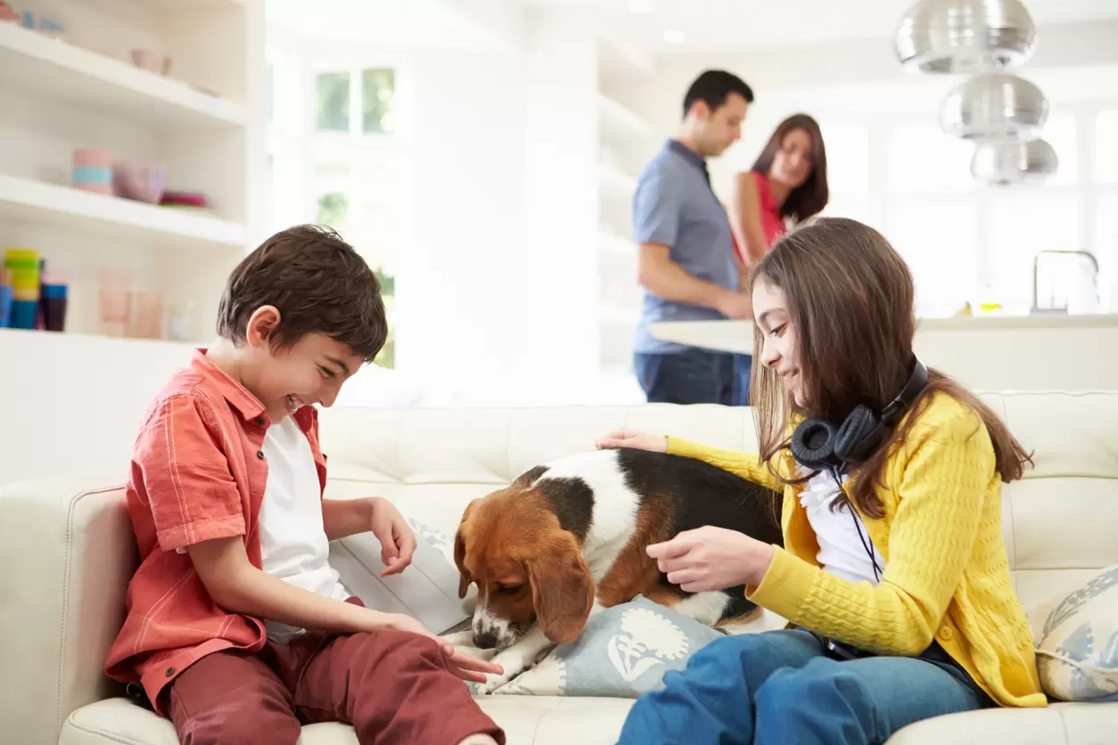 Children Playing With Dog On Sofa As Parents Make Meal
